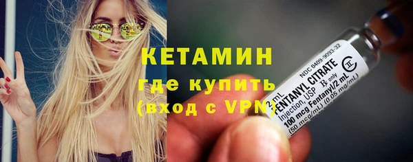 шишки Заволжье