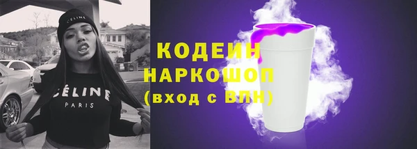 шишки Заволжье