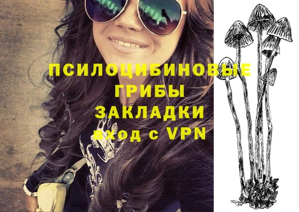 шишки Заволжье