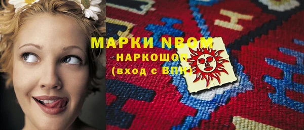 шишки Заволжье