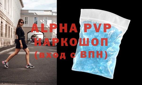 шишки Заволжье