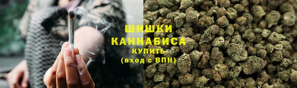 дурь Заводоуковск
