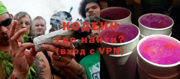 шишки Заволжье
