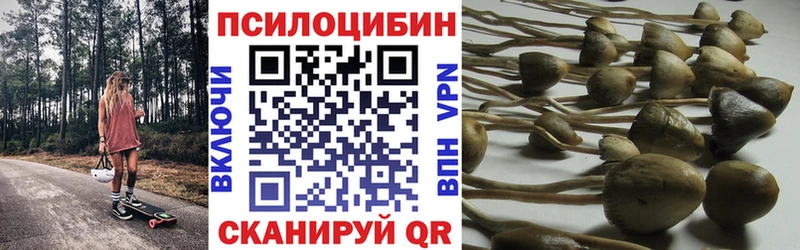 Купить где  Ростов-на-Дону  Галлюциногенные грибы MAGIC MUSHROOMS 